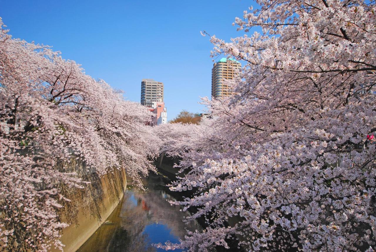 Sotetsu Fresa Inn Tokyo Kanda Buitenkant foto